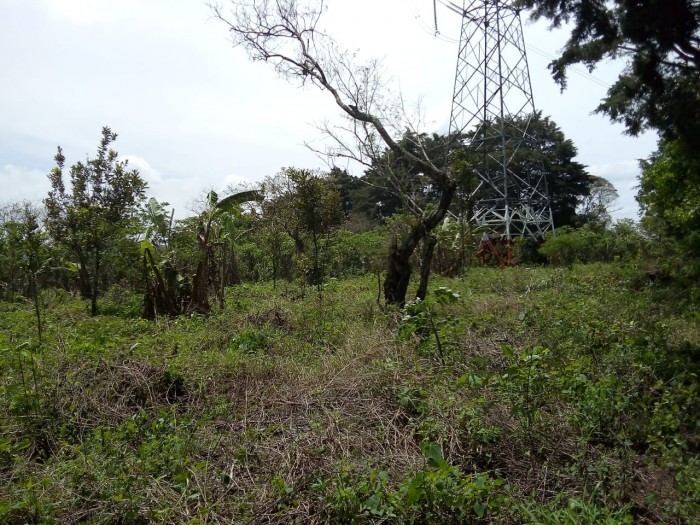 Vendo Terreno de 13 manzanas en Km. 25.5 CAES - 7