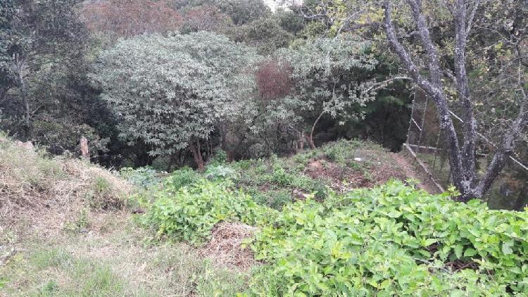 TERRENO PLANO EN VENTA, ZONA 15 — foto 6