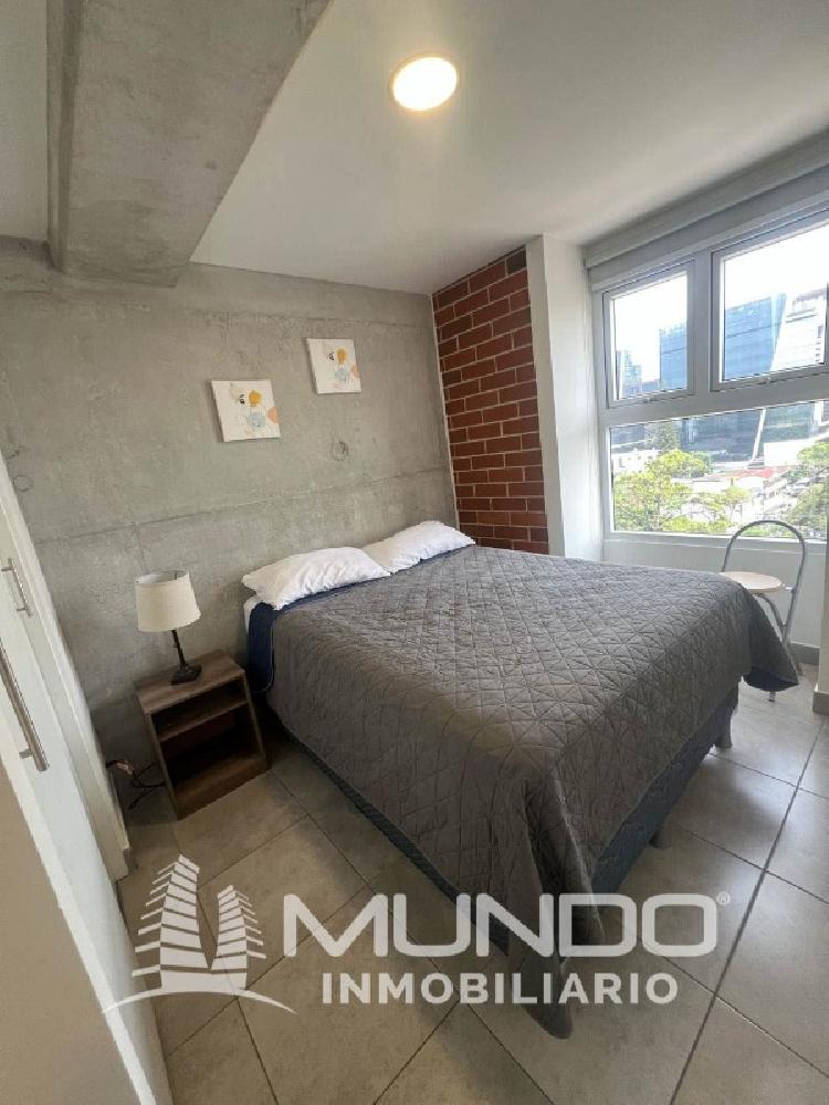 APARTAMENTO MODERNO AMUEBLADO EN RENTA ZONA 10 — foto 9