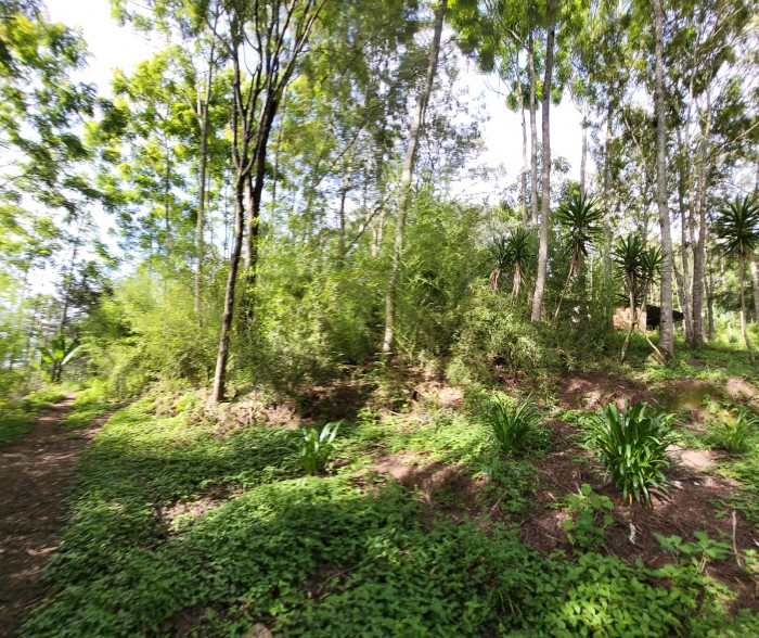 Finca en venta en San Jose Pinula camino a Monte Cristo - 22