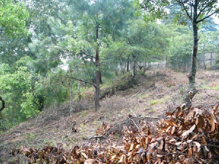TERRENO EN VENTA EN SAN RAFAEL II