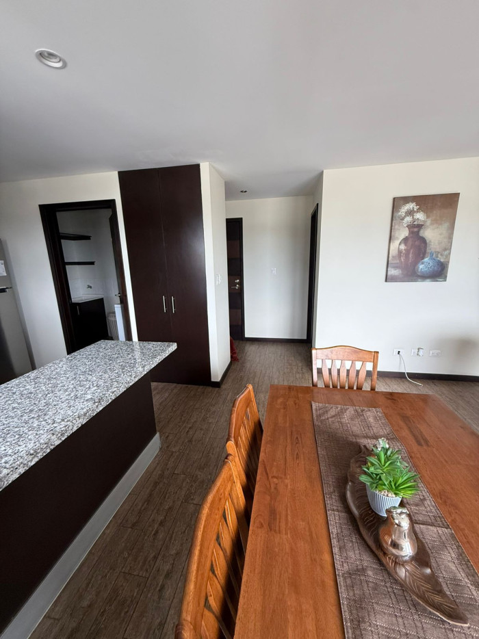 En Alquiler Apartamento 1 habitacion Amueblado Zona 15 — foto 3