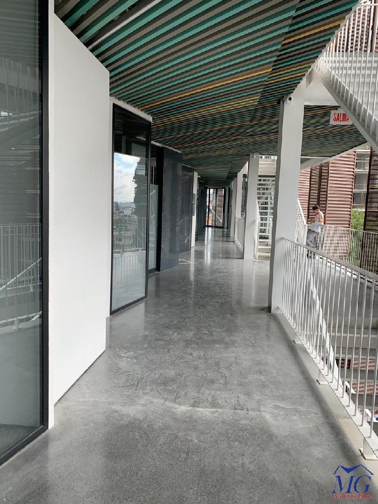 OFICINA EN RENTA ZONA 4 — foto 5