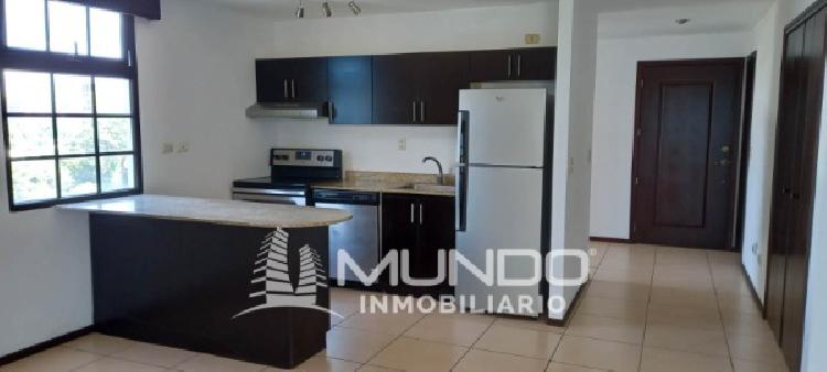 APARTAMENTO EN RENTA ZONA 10 — foto 3