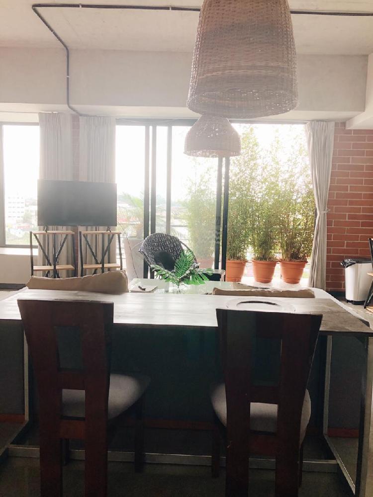 Renta de apartamento amueblado en 4 grados norte