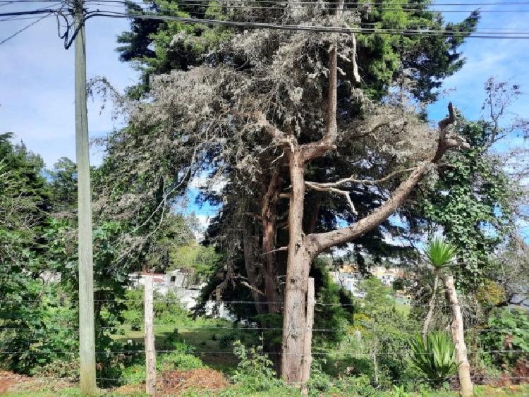 TERRENO EN VENTA EN KM 21.5 CARRETERA A FRAIJANES — foto 6