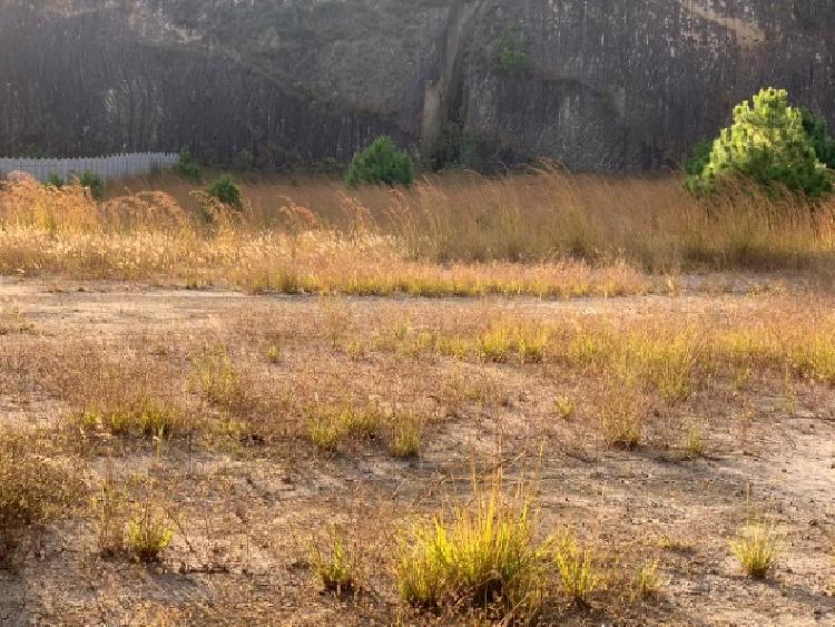 TERRENO EN RENTA EN RUTA AL ATLANTICO ZONA 17 - 2