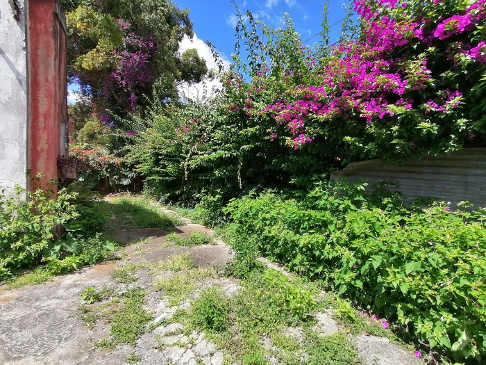Terreno en venta en Mariscal zona 11 - Image 4