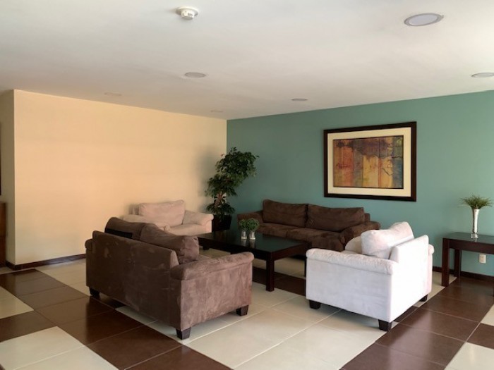 VENTA y RENTA amplio Apartamento en zona 14 - Miniatura 8