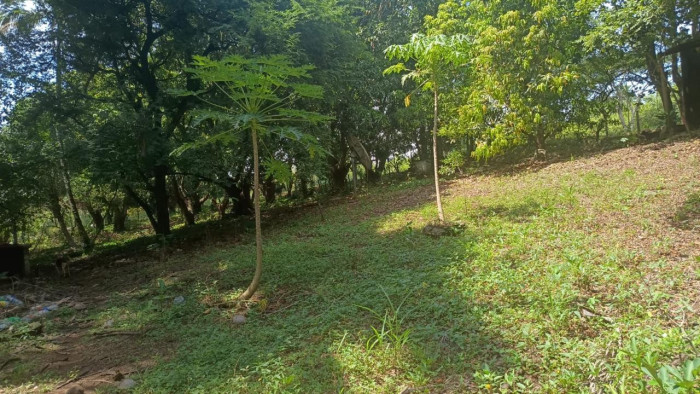 VENTA DE TERRENO EN KM 73, CARRETERA A TAXISCO - 1