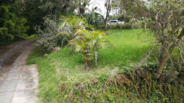 Terreno en VENTA, El Encinal Tronco 2