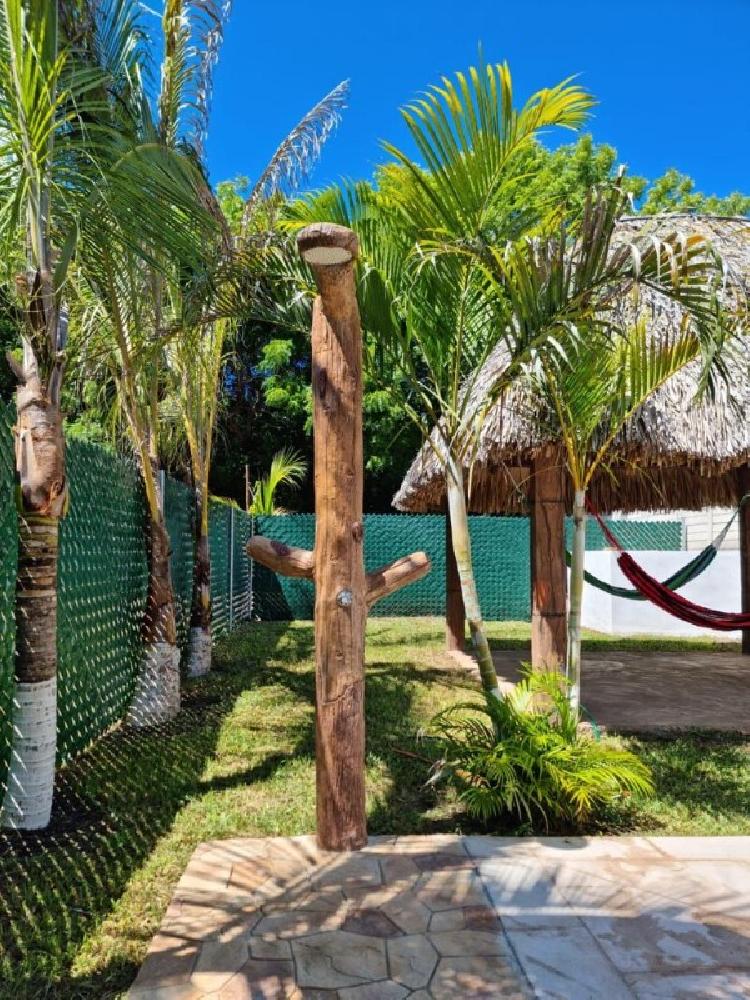 Proyecto de 2 Casas en Venta en carr. a Monterrico — foto 7