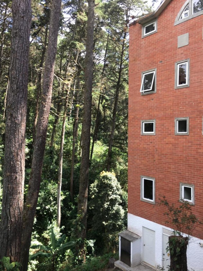 Apartamento en Alquiler en Muxbal, entorno ecológico!!! - Image 1