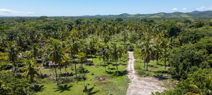 Terreno en Playa El Espino Usulután en venta - 5
