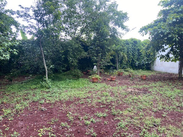 TERRENO CON LOCAL COMERCIAL EN VENTA EN EL CERINAL - 13