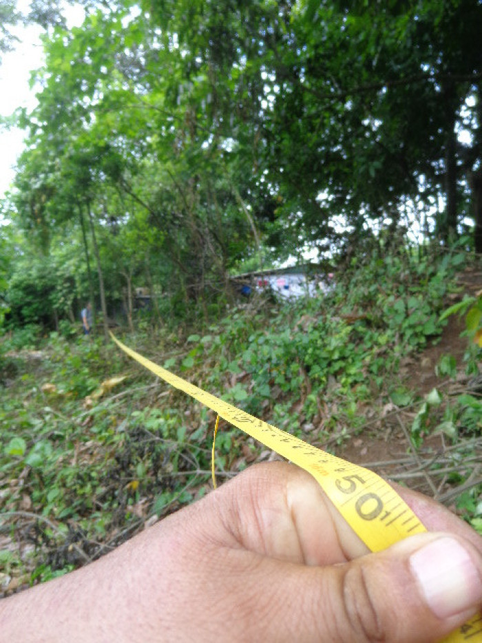 Terreno Escuintla Tiquisate 2 - Miniatura 9