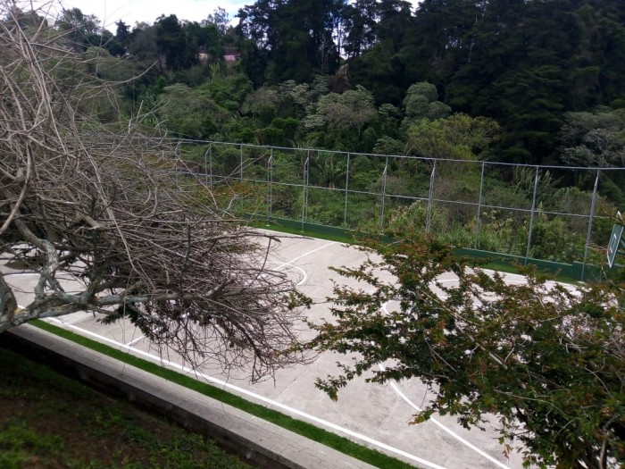 Venta Casa Jardines Arrazola entrada a Olmeca - Miniatura 20