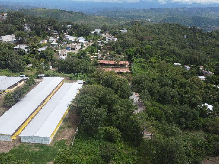 Granja en Venta | Palencia | KM 23.5 - 5
