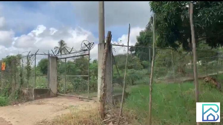Finca Guazumal Moca - 2