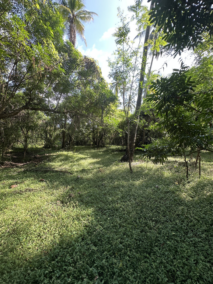 Terreno de 5 manzanas en Isla Madresal en Jiquilisco - 10