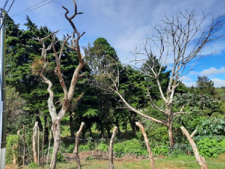TERRENO EN VENTA EN KM 21.5 CARRETERA A FRAIJANES