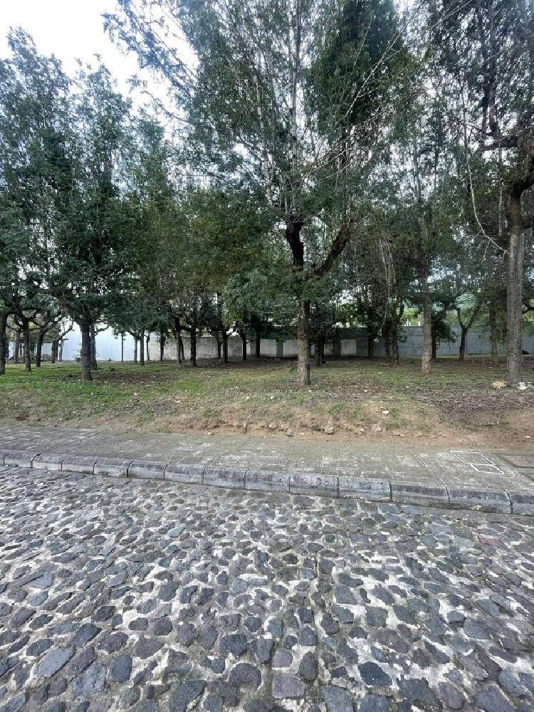 CASAS EN VENTA EN SAN MIGUEL DUEÑAS EN CONDOMINIO — foto 5