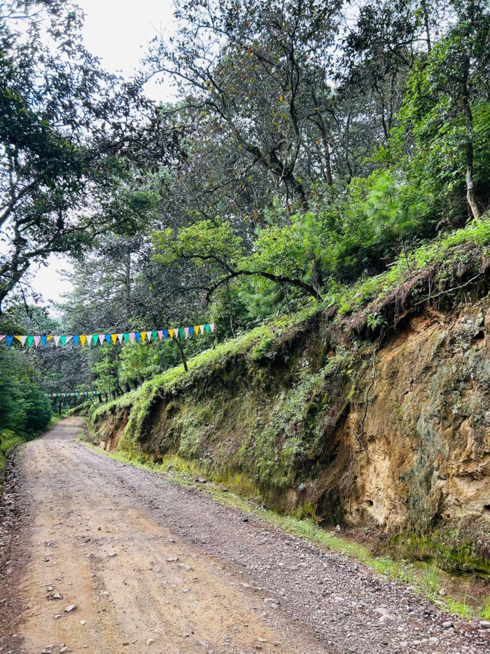 Terreno en venta en Sumpango Hacienda Las Llanuras - 11