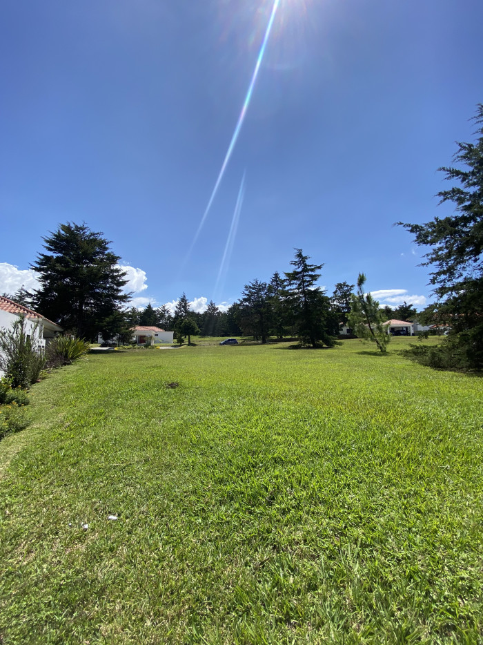 Terreno en hacienda nueva country club - Miniatura 7