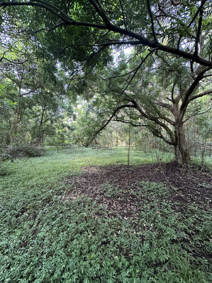 Terreno de 5 manzanas en Isla Madresal en Jiquilisco - 5