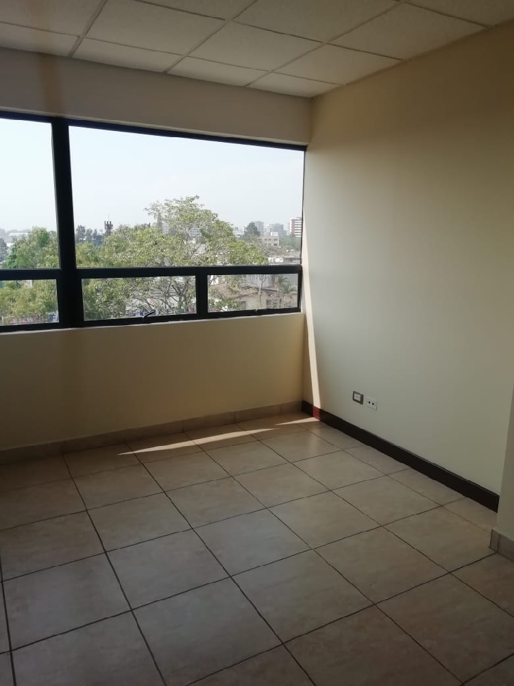 OFICINA EN RENTA, ZONA 13 — foto 3