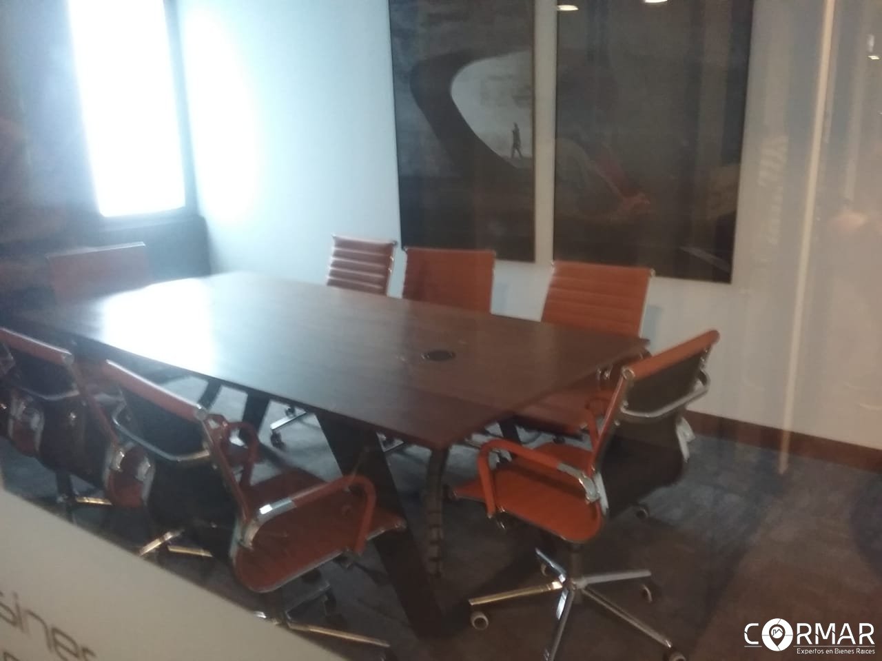 Rento apartamento NUEVO en Reserva Oakland z 10 - Miniatura 12