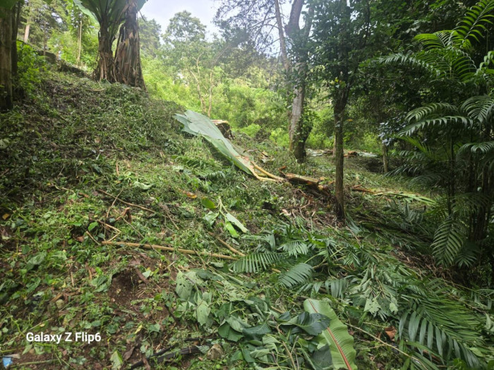 TERRENO EN #VENTA EN PIEDRA PARADA CRISTO REY — foto 3