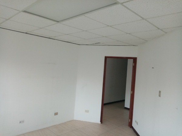 Oficina en renta zona 10 — foto 5