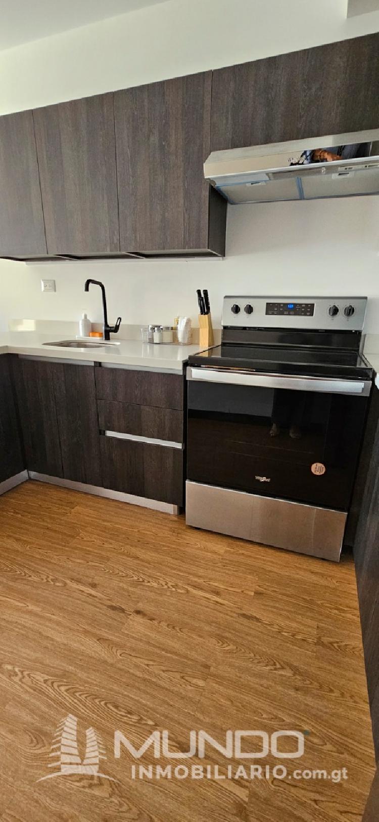 APARTAMENTO AMOBLADO EN RENTA ZONA 10/MI — foto 7