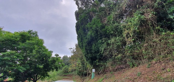 Terreno en Venta en Colinas de Castel Fraijanes - Image 1