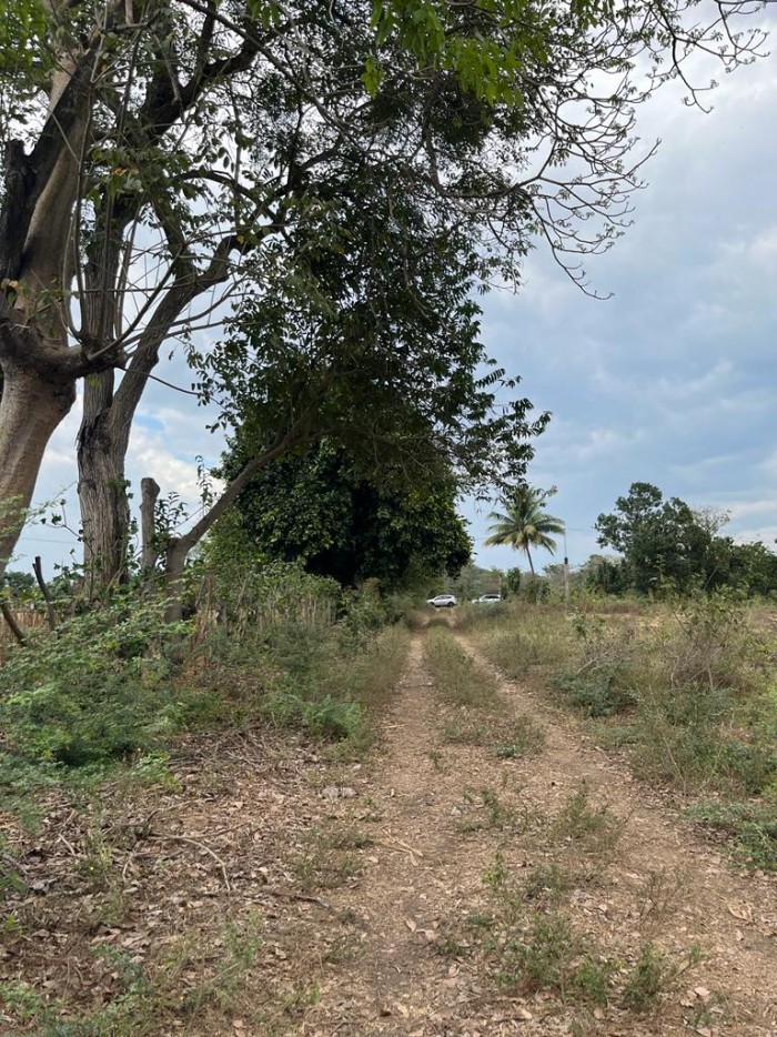 TERRENO ESCUINTLA - 3