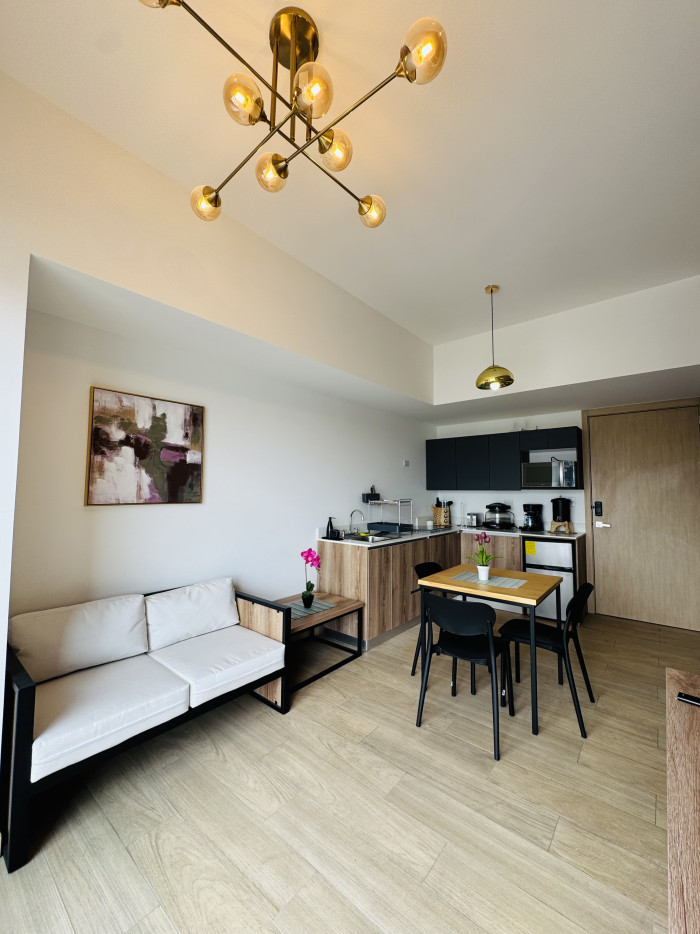 Apartamento amueblado en renta zona 10