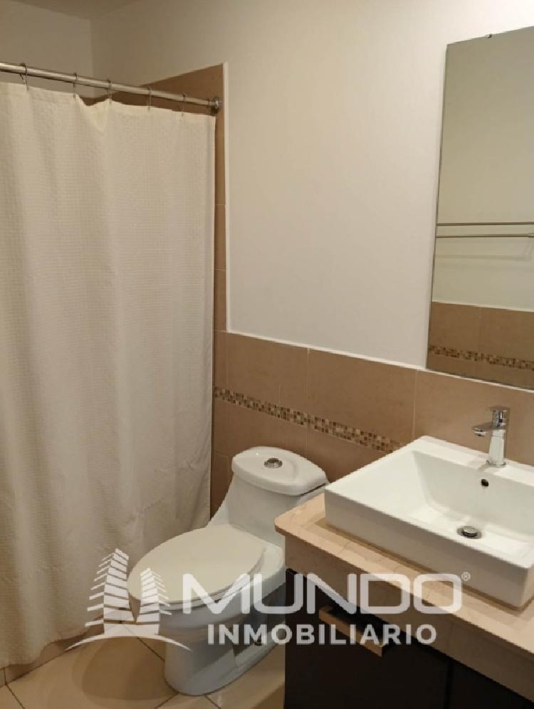 APARTAMENTO AMUEBLADO EN RENTA EN ZONA 14 — foto 6