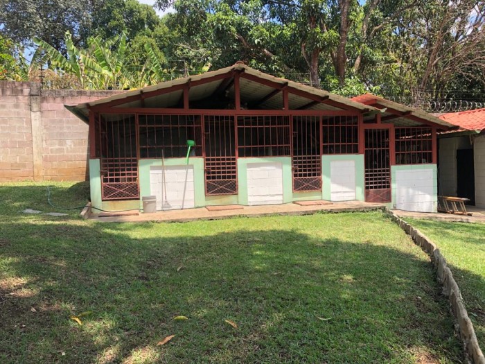 Hermosa Quinta en venta en Santa Ana - 16