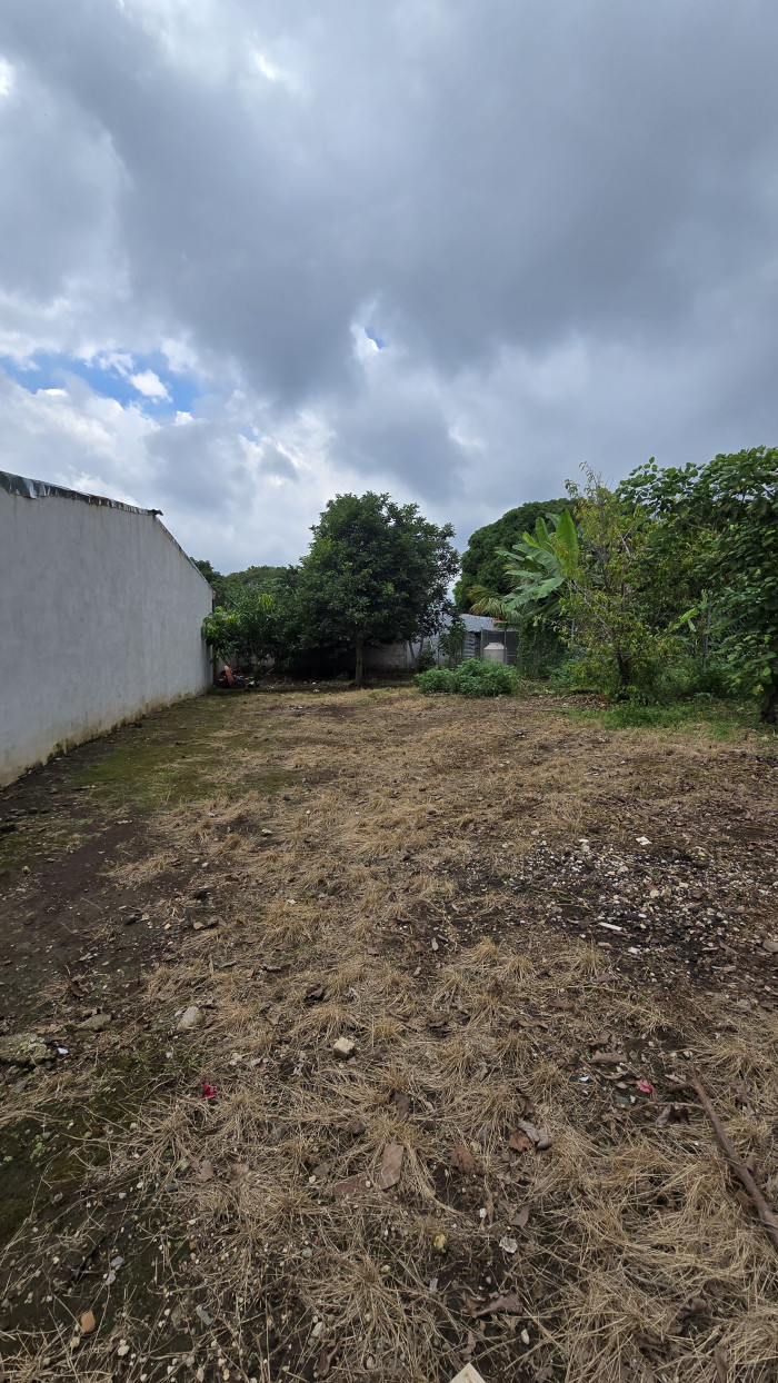 Terreno en venta en la Ruta de las Flores Salcoatitán - 2