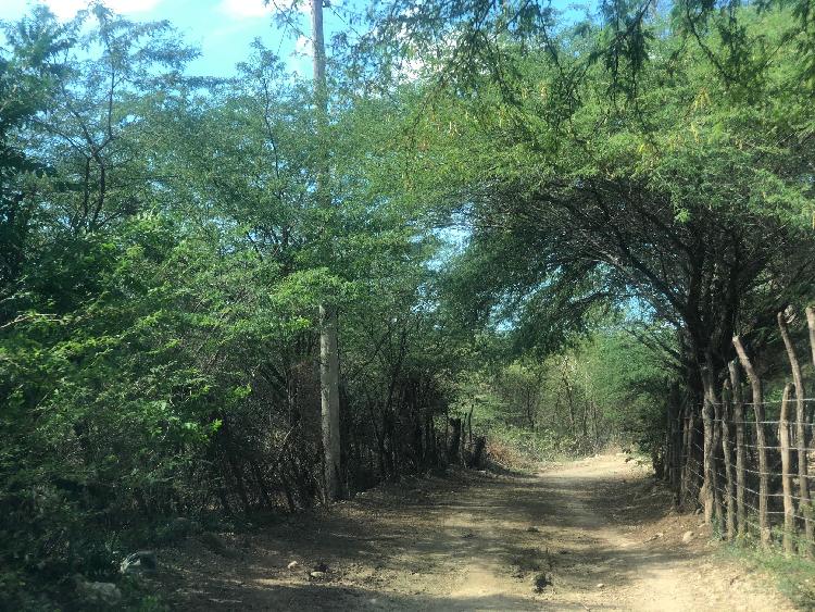 Finca en Valverde, Mao de Venta - 1
