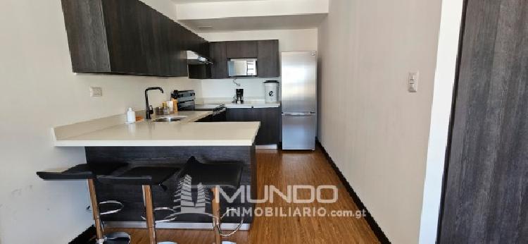 APARTAMENTO AMOBLADO EN RENTA ZONA 10/MI — foto 2