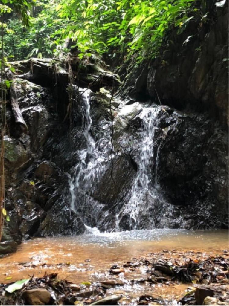 FINCA DE 4 CABALLERÍAS EN VENTA EN IZABAL, KM 267 CA9 N - 6