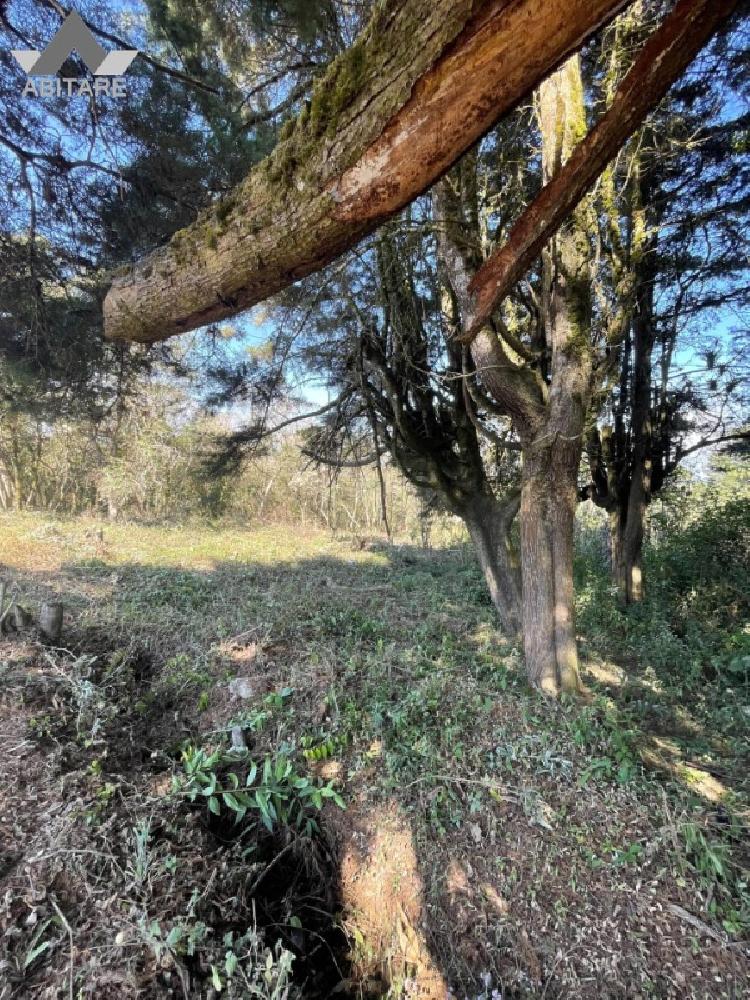 Terreno en venta — foto 6