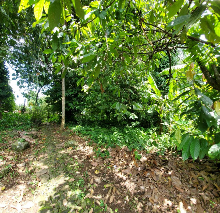 TERRENO PLANO EN VENTA EN MAZATENANGO PARA DESARROLLO - 4