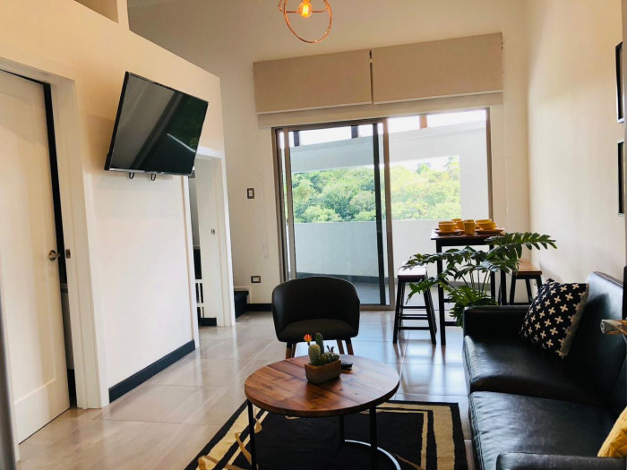 APARTAMENTO TIPO LOFT AMUEBLADO EN RENTA EN ZONA 16 — foto 3