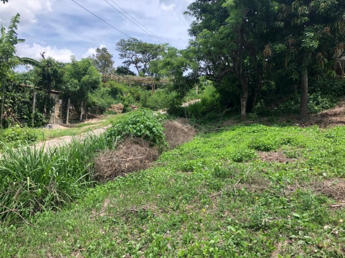 TERRENO PARA CONSTRUCCION DE VIVIENDAS EN OLOCUILTA - 4