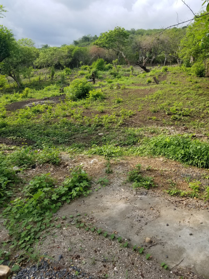 Terreno comercial frente Residencial San Blas Surf City - 6