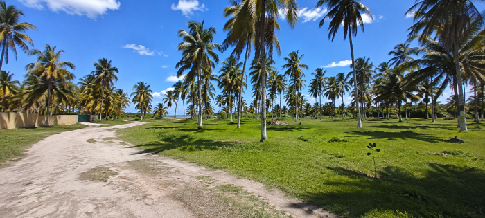 Terreno en Playa El Espino Usulután en venta - 4