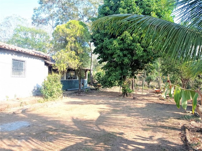 Vendo terreno agrícola de 3,265 varas en Ciudad Arce - 3